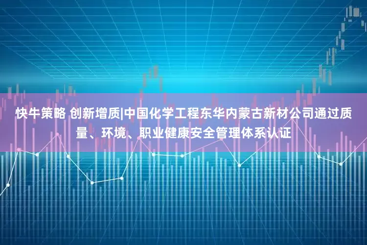 快牛策略 创新增质|中国化学工程东华内蒙古新材公司通过质量、环境、职业健康安全管理体系认证